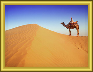 About-rajasthan1